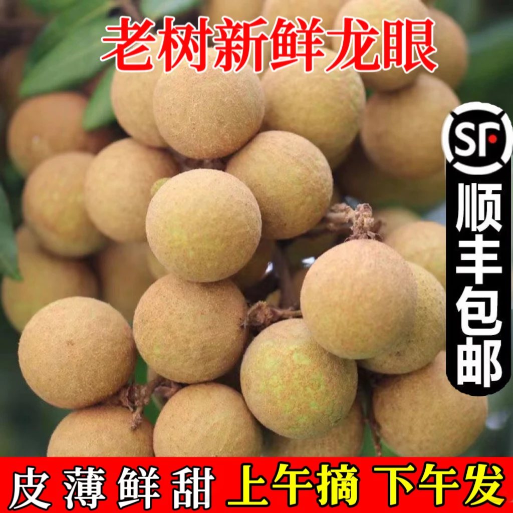 【顺丰冷链】广西平南龙眼新鲜桂圆现摘甜当季热带水果整箱包邮精品