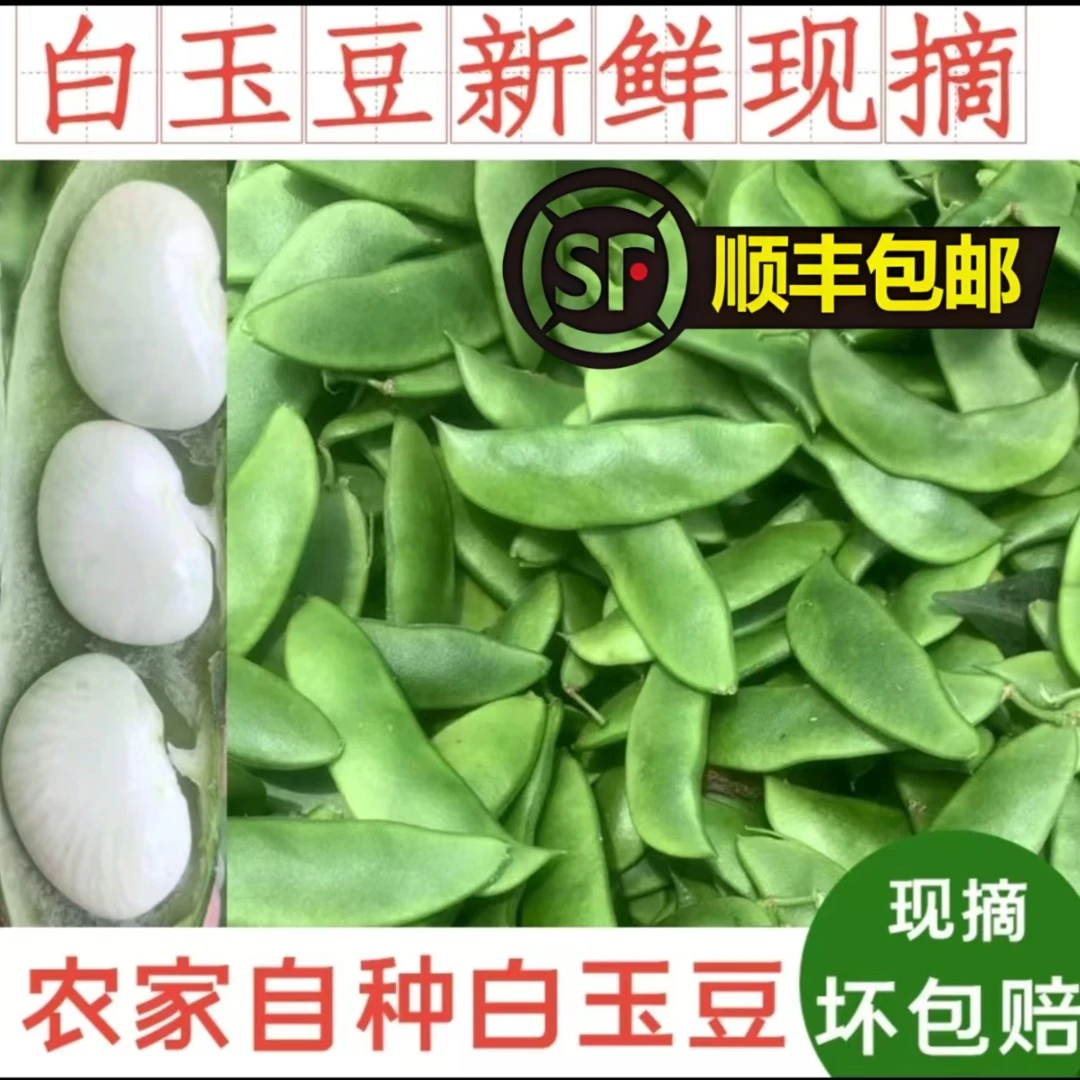 【开心专属】新鲜洋扁豆白玉豆露天种现摘现发福建南通上饶启东特产