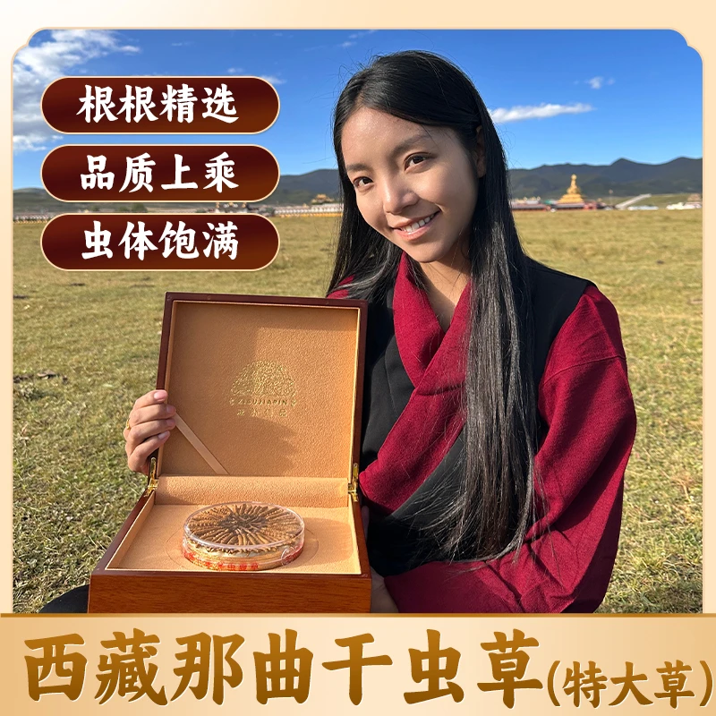 2024西藏那曲天然虫草约0.5g/根 一级特大干草
