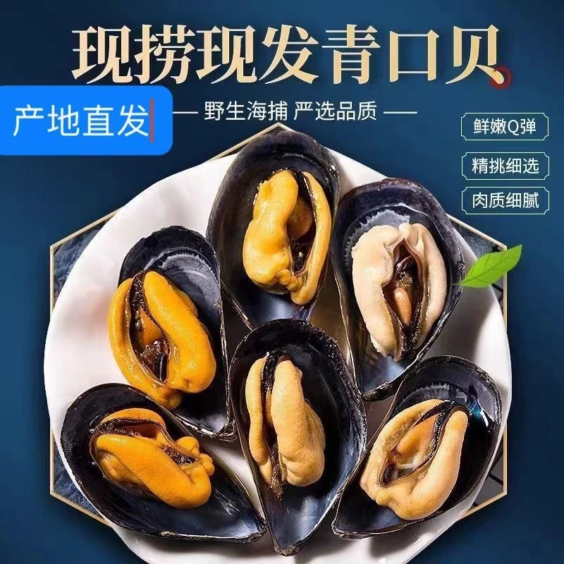 山东日照原产地新鲜大海虹当天捕捞鲜活海虹 严选海捕