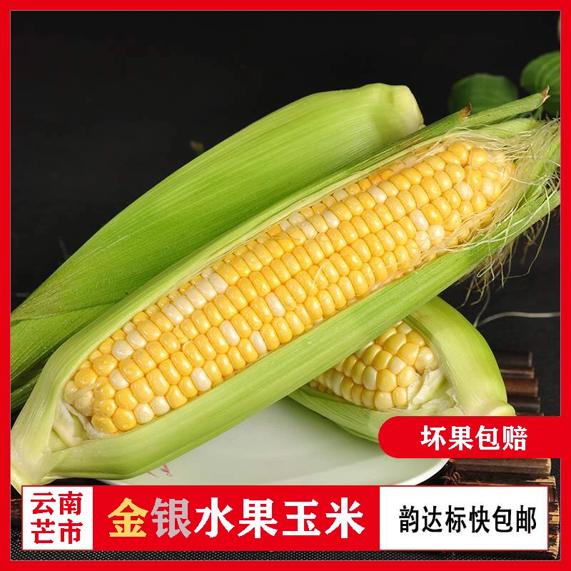 云南新鲜金银水果玉米新鲜现摘甜脆生吃嫩鲜