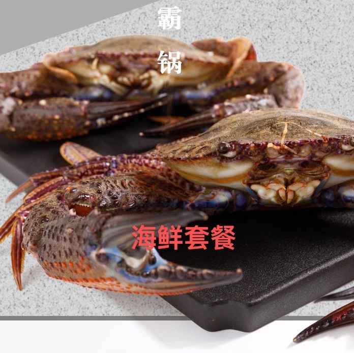 福建东山岛黑金刚黑猴5-6只/1斤包鲜包肥鲜活速冻发货顺丰包邮