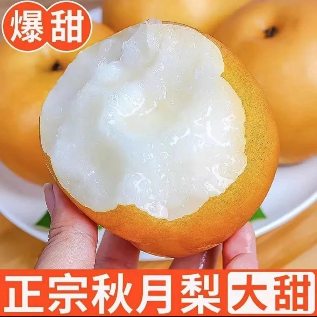 正宗山东秋月梨新鲜水果脆甜冰糖秋月梨冰糖梨当季整箱大果