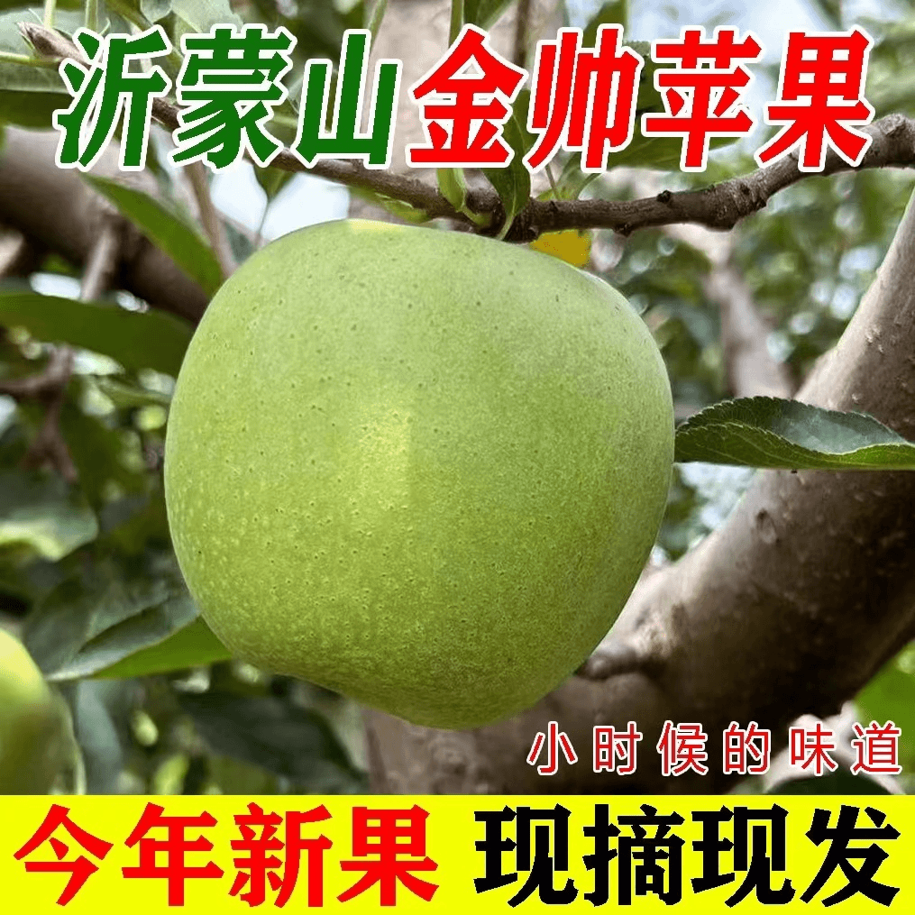 沂蒙山老品种金帅青苹果酸甜脆青苹果小时候的味道