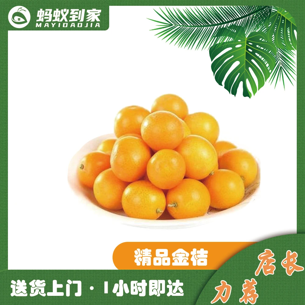 金桔  金桔王  净含量500g