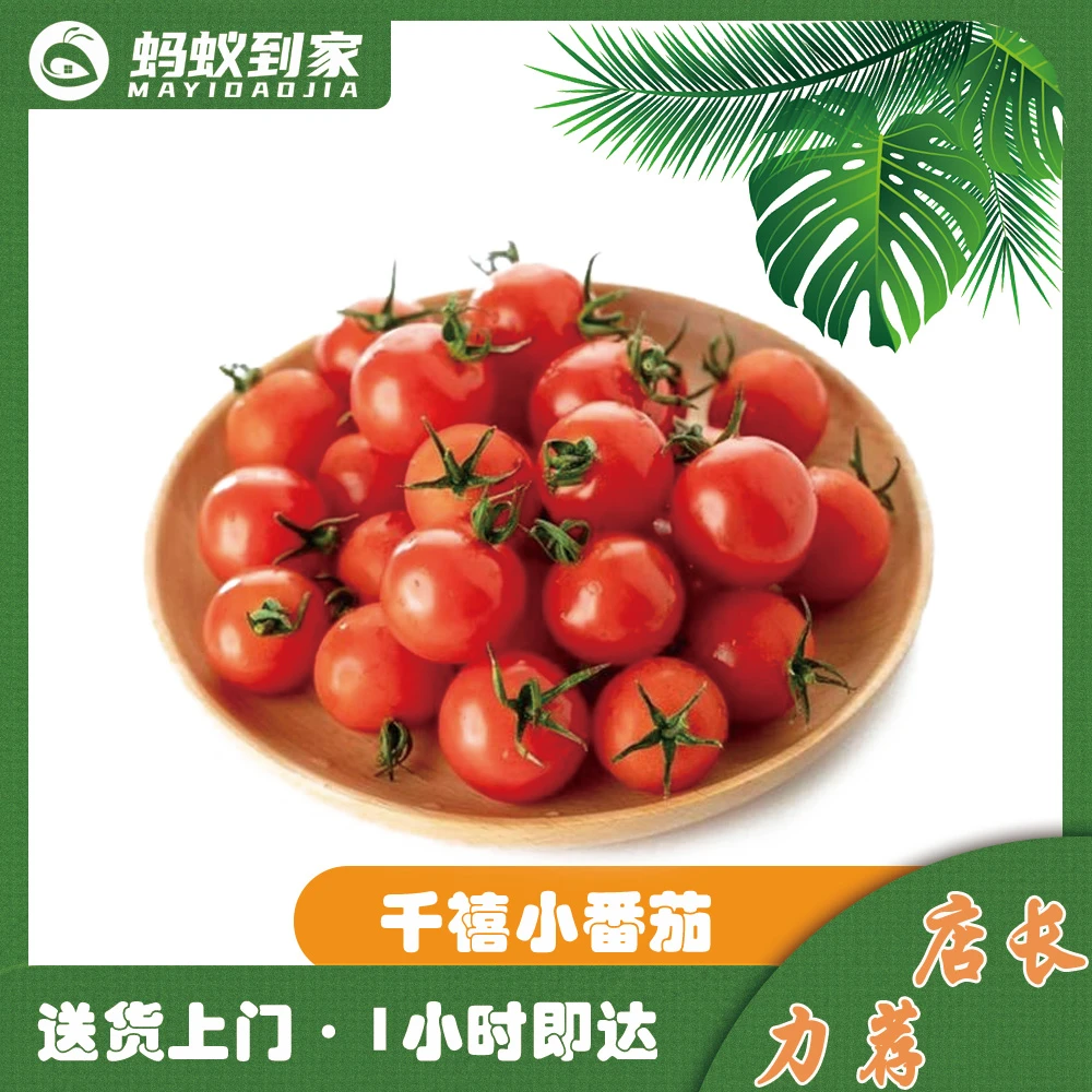 山东千禧小番茄   一盒约1斤