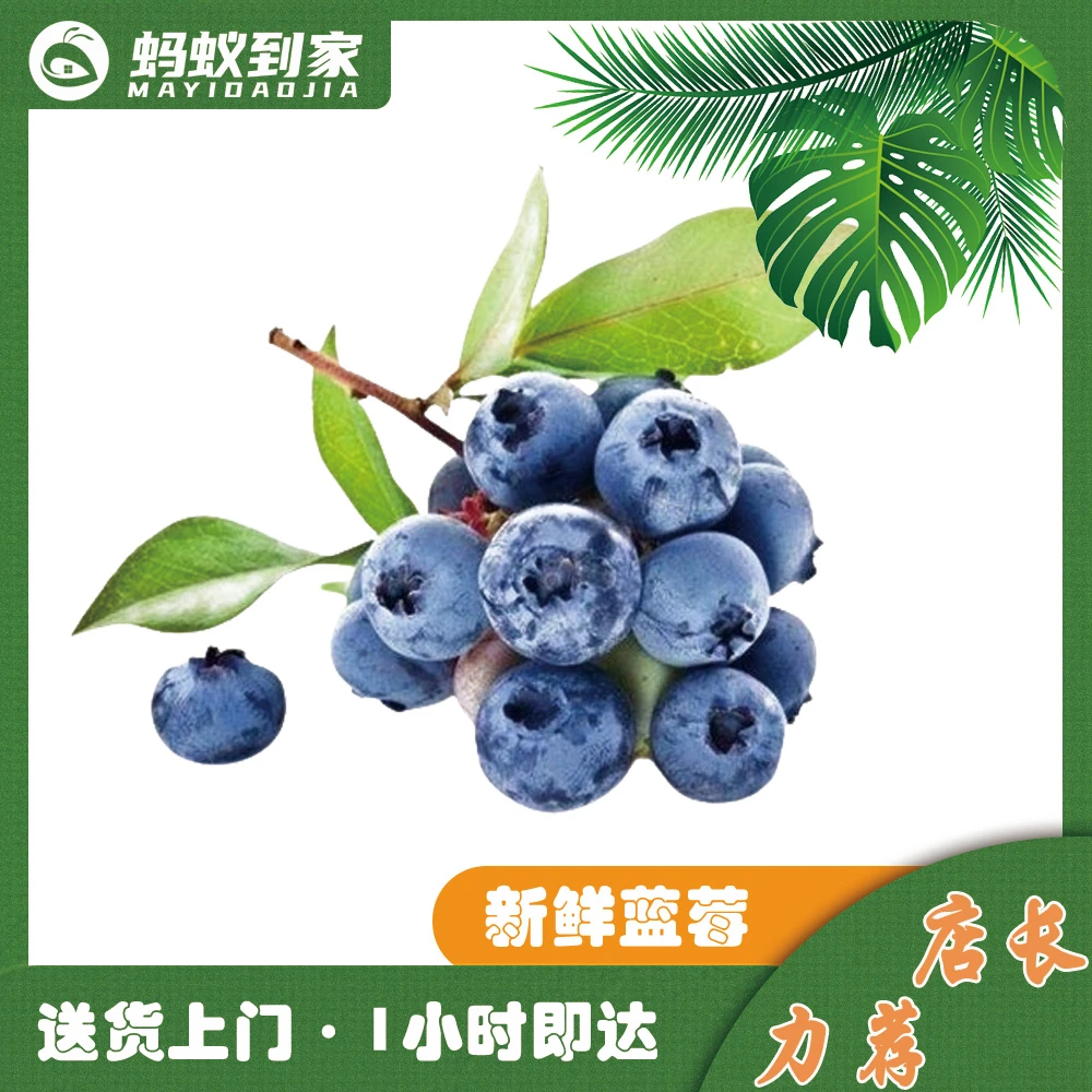 蓝莓王  蓝莓  一盒