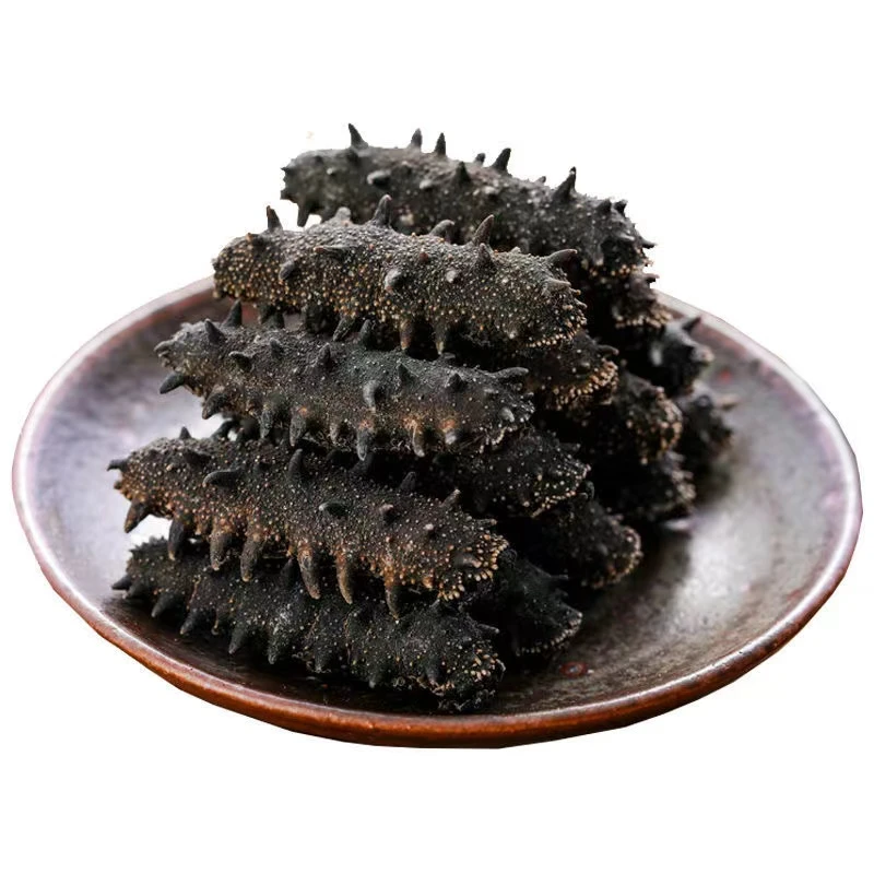 【媛媛推荐】开口淡干海参120-140头左右/500g   青岛发货