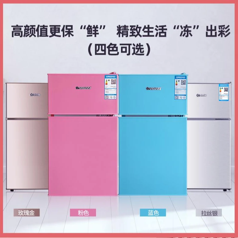 香雪海42L小冰箱家用小型电冰箱冷藏冷冻宿舍租房小冰箱双门节能B