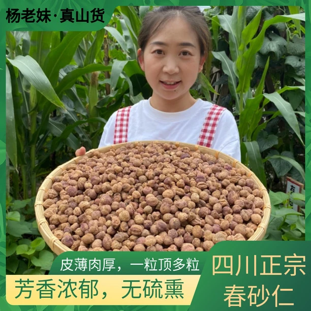【杨老妹】山货 春 砂仁 250克农产品