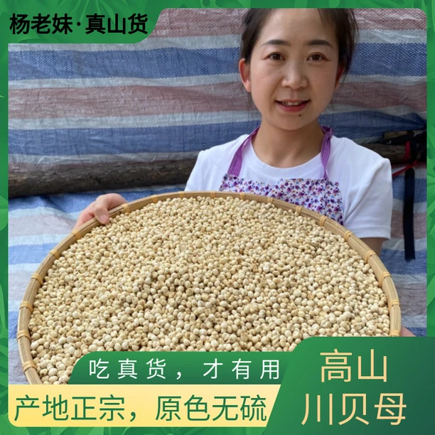 【杨老妹】山货贝母100克 平时可搭配干山药 食用农产品