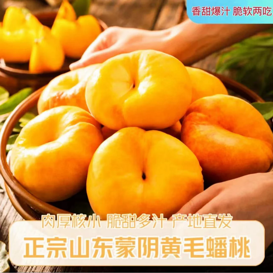 【现摘现发】山东黄金毛蟠桃带箱5斤脆甜爽口软吃爆甜多汁果味浓郁.