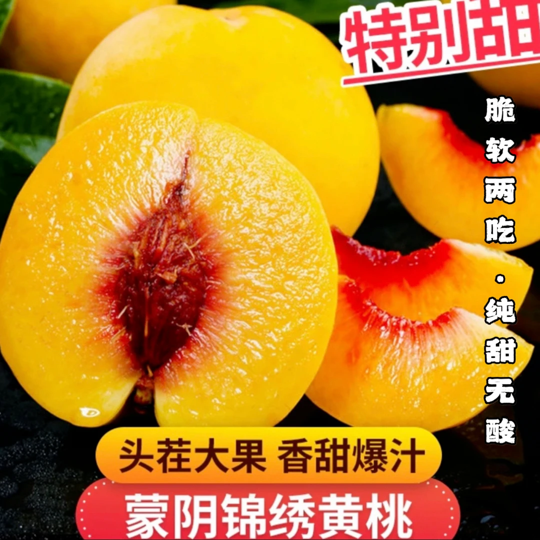 【现摘现发】山东锦绣黄桃带箱5斤爆甜多汁蜜香味浓郁