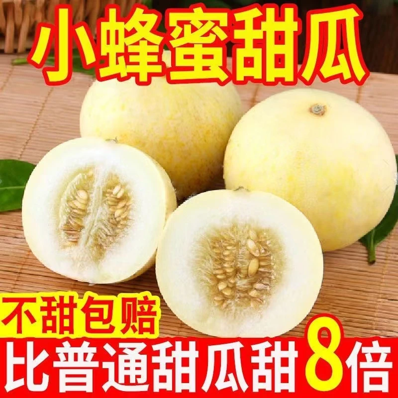 【顺丰包邮】小蜜蜂甜瓜香甜蜜罐甜瓜脆爽爆汁新鲜水果香瓜