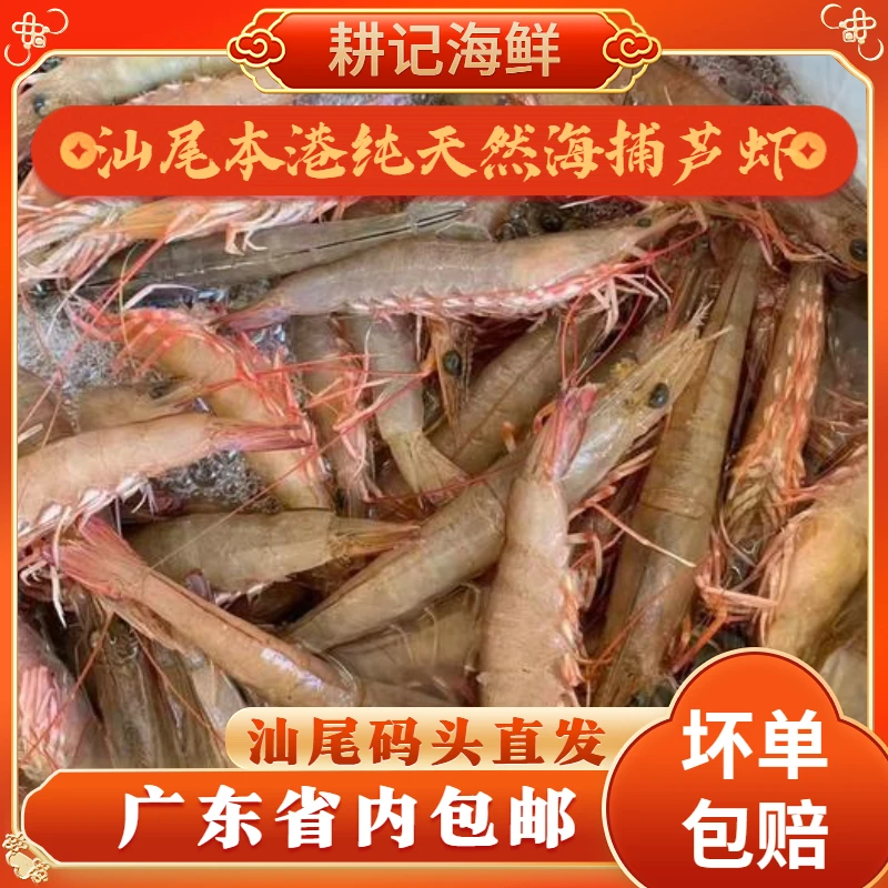 次品沙卢虾 汕尾港天然捕捞原产地锁鲜冷冻 新鲜冷链配送