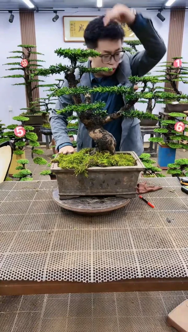 【闪购商品】一物一拍，所见即所得