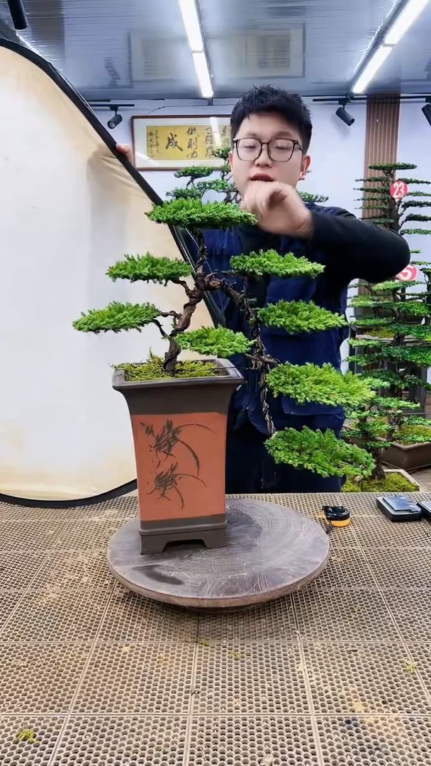 【闪购商品】一物一拍，所见即所得