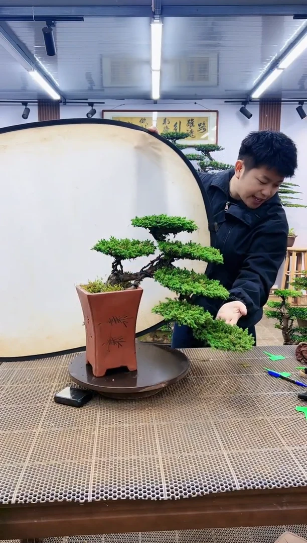 【闪购商品】一物一拍，所见即所得