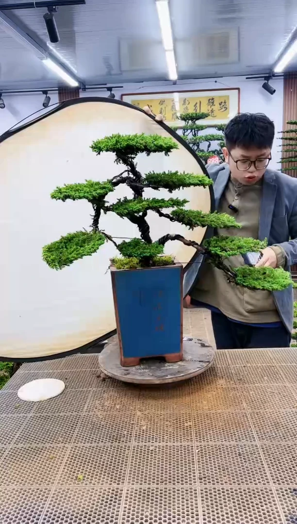 【闪购商品】一物一拍，所见即所得