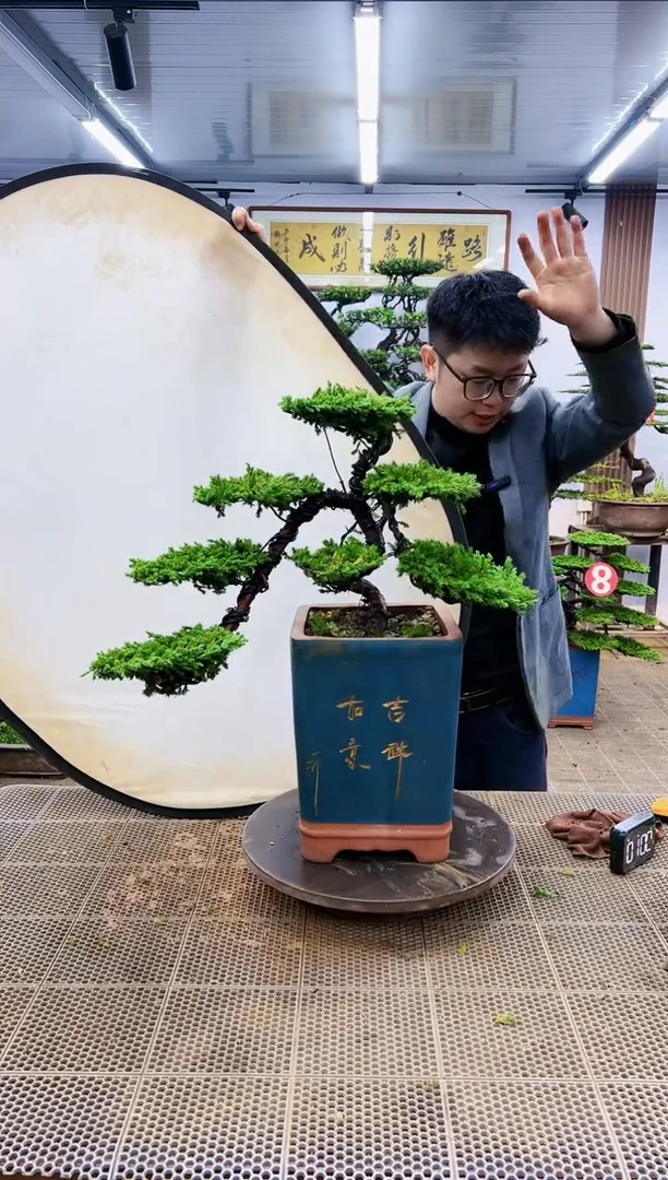 【闪购商品】一物一拍，所见即所得