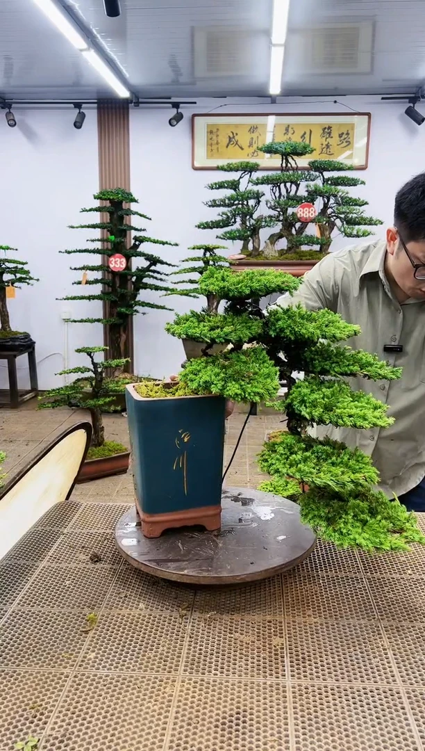 【闪购商品】一物一拍，所见即所得