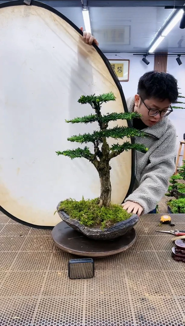 【闪购商品】一物一拍，所见即所得