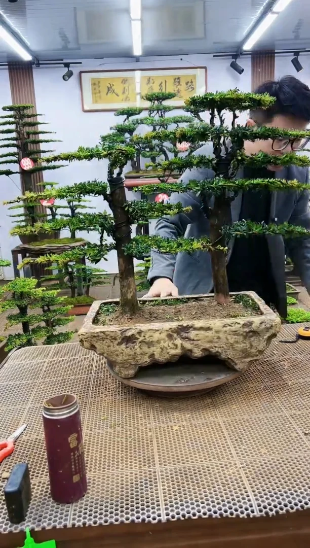 【闪购商品】一物一拍，所见即所得