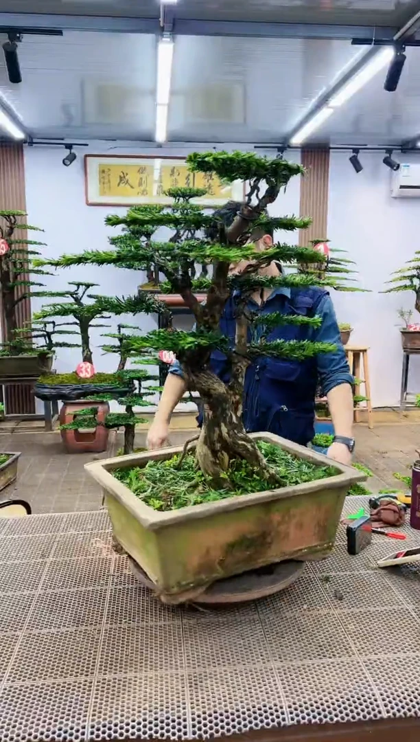 【闪购商品】一物一拍，所见即所得