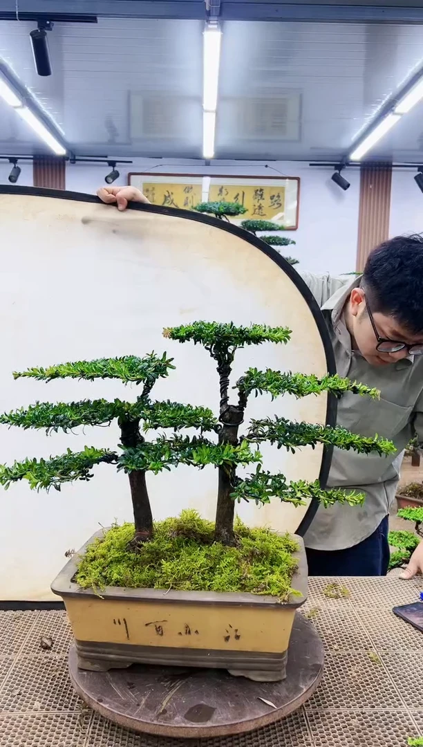 【闪购商品】一物一拍，所见即所得