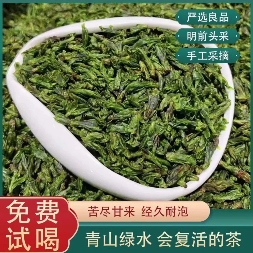 2025新茶头采米芽小叶苦丁茶青山绿水春茶米芽回甘 （代用茶）
