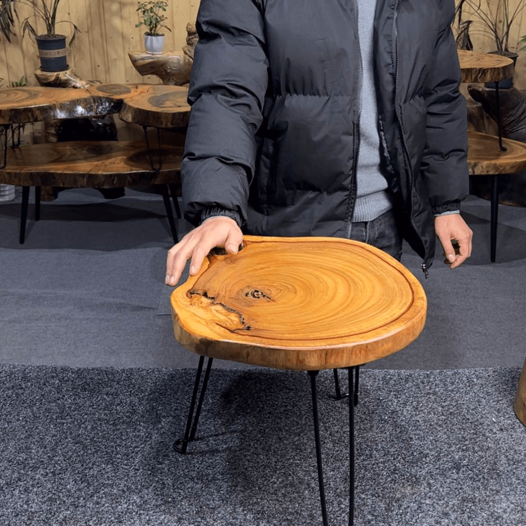 【闪购商品】樟木实木