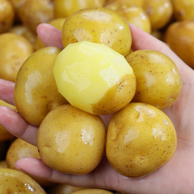 恩施小土豆新鲜现挖黄心土豆蔬菜3/5/9斤农家自种迷你马铃薯洋芋
