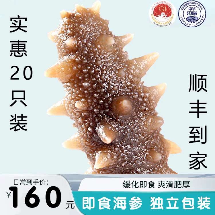 即食海参大连海参滋补佳品食用冷冻