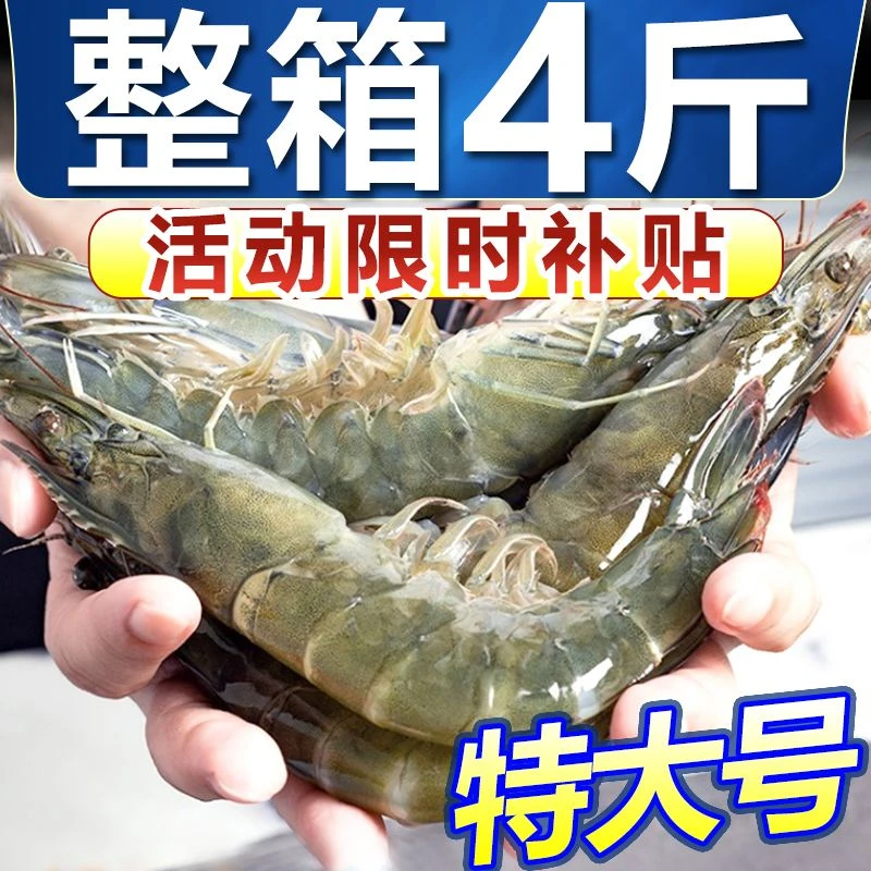 青岛4050规格琵琶虾东方虾10斤连云港冰鲜部族大虾虾子4斤冷冻-虾