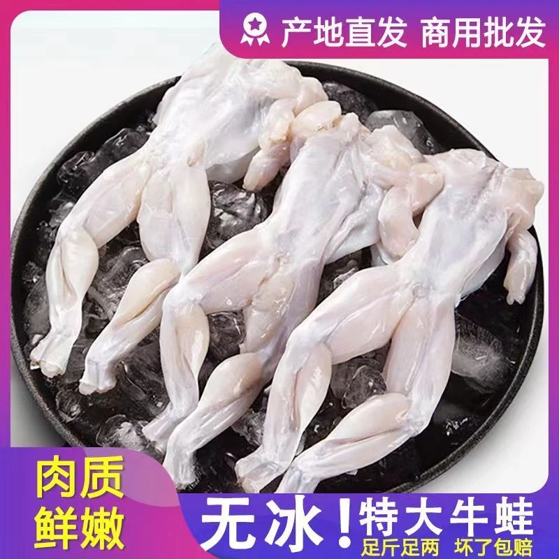 送货上门套餐炭烧团购肥肠美蛙鲜活牛蛙新鲜特大青蛙肉腿批5斤