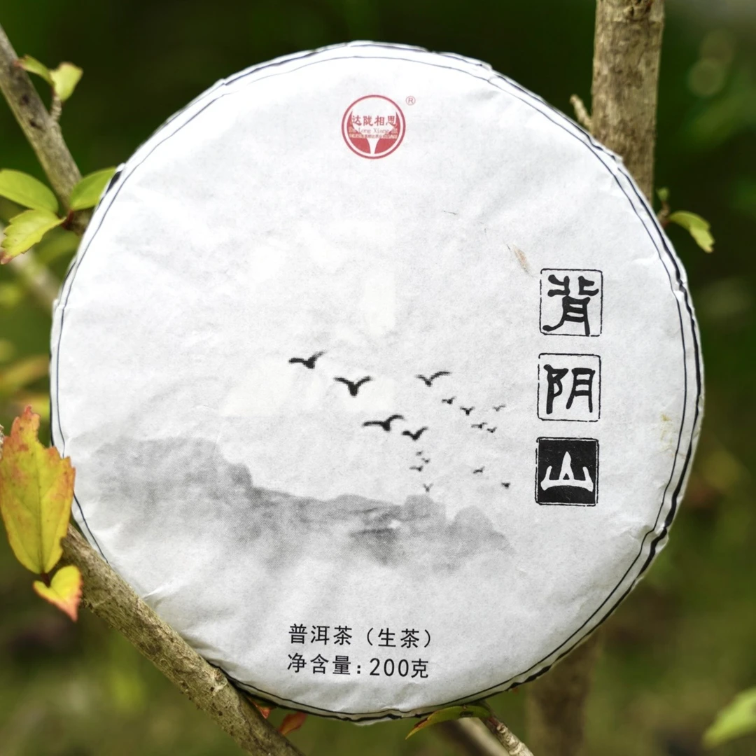 云南普洱茶生茶2021年背阴山200克饼