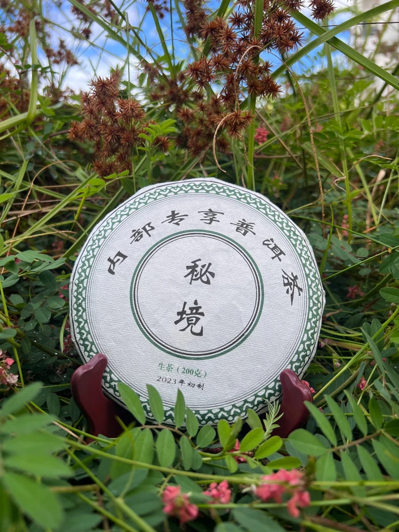 云南普洱茶生茶2023年内部专享普洱茶（秘境）200克饼