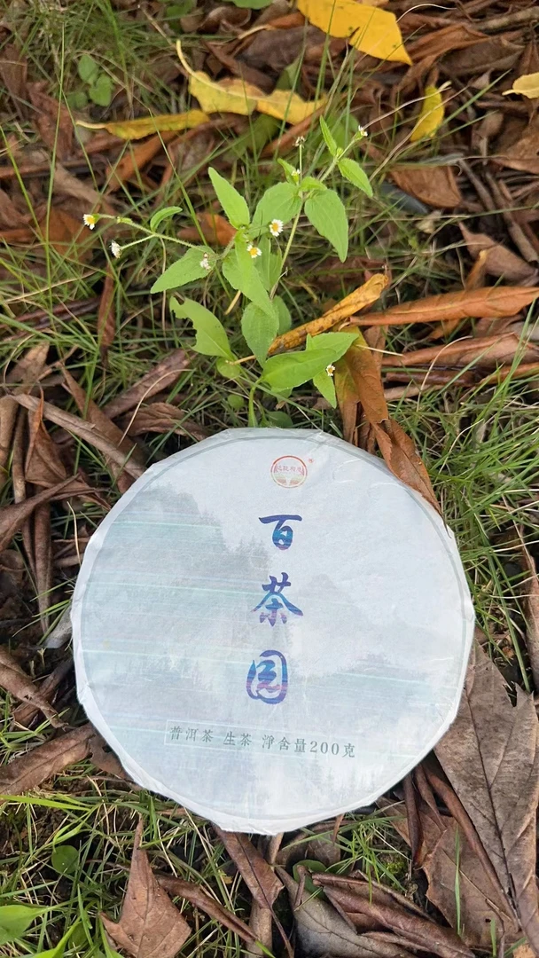 云南普洱茶2015年百茶园200克饼