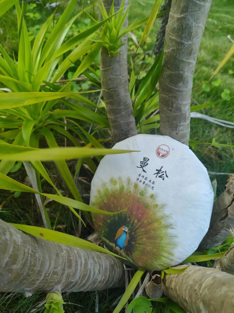 云南普洱茶生茶2023年 曼松  纯料400克