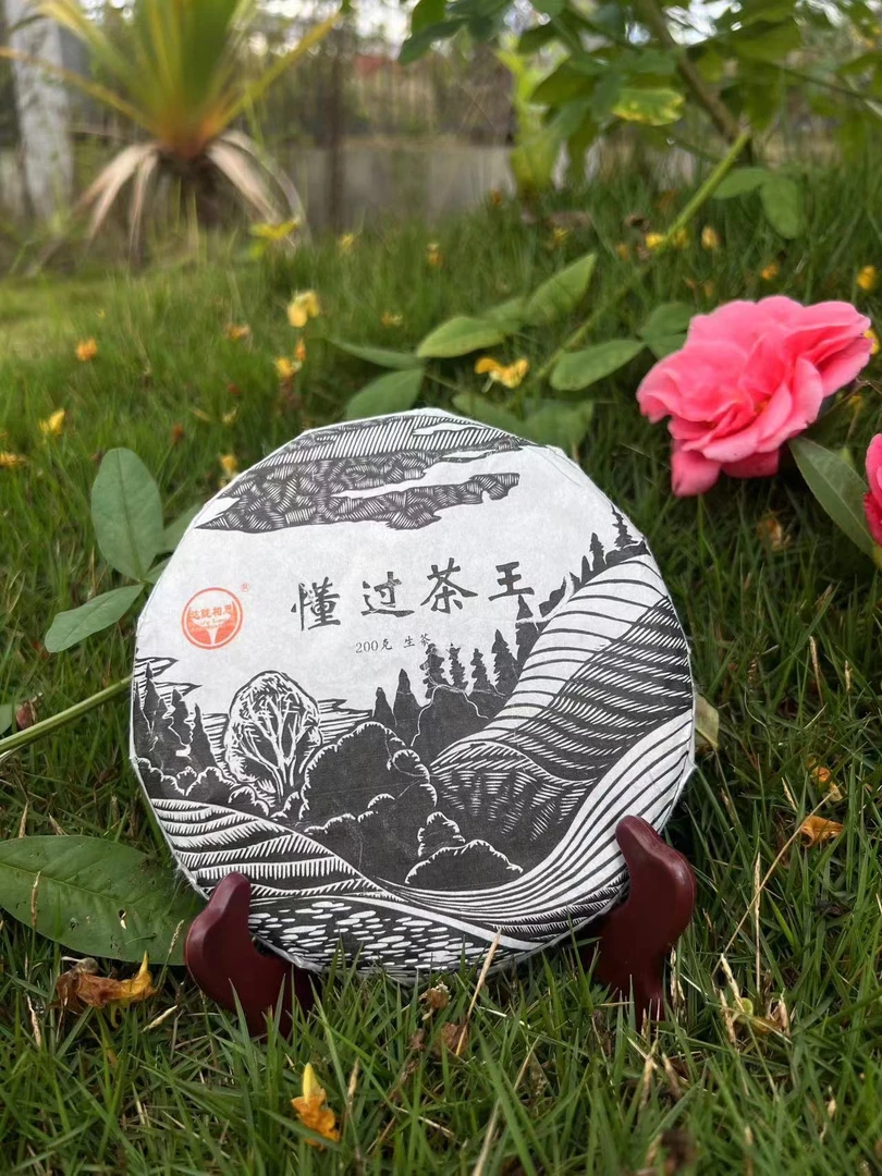 云南普洱茶生茶2023年（懂过茶王） 200克
