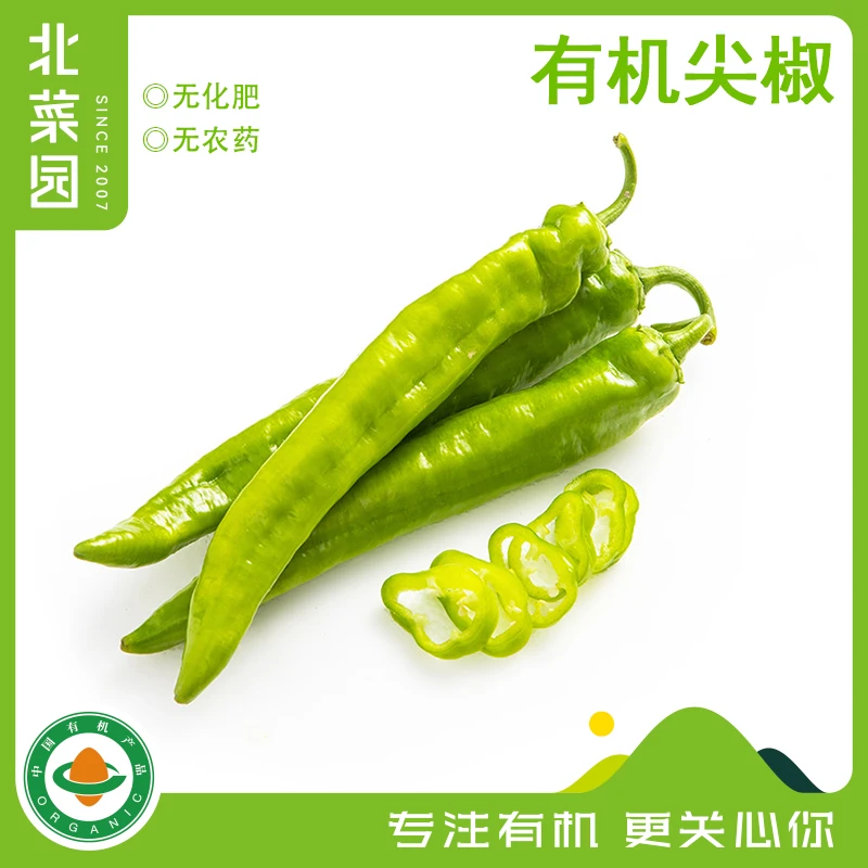 有机尖椒250g 鲜脆辣椒青椒有机认证蔬菜调味开胃下饭店