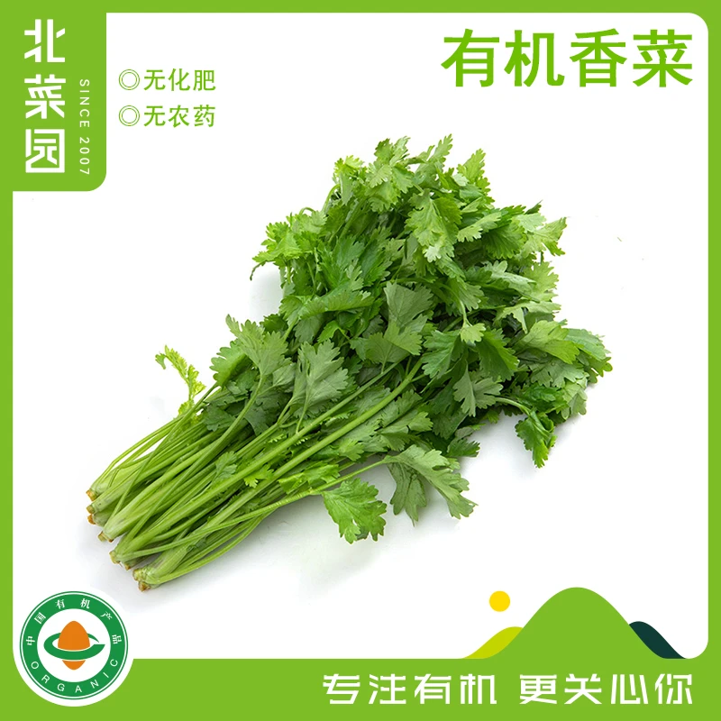 有机香菜100g  浓香