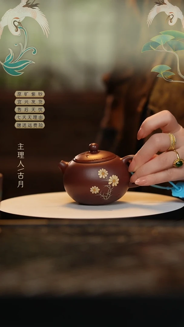 【闪购商品】【古月壶来】XX563小雏菊西施