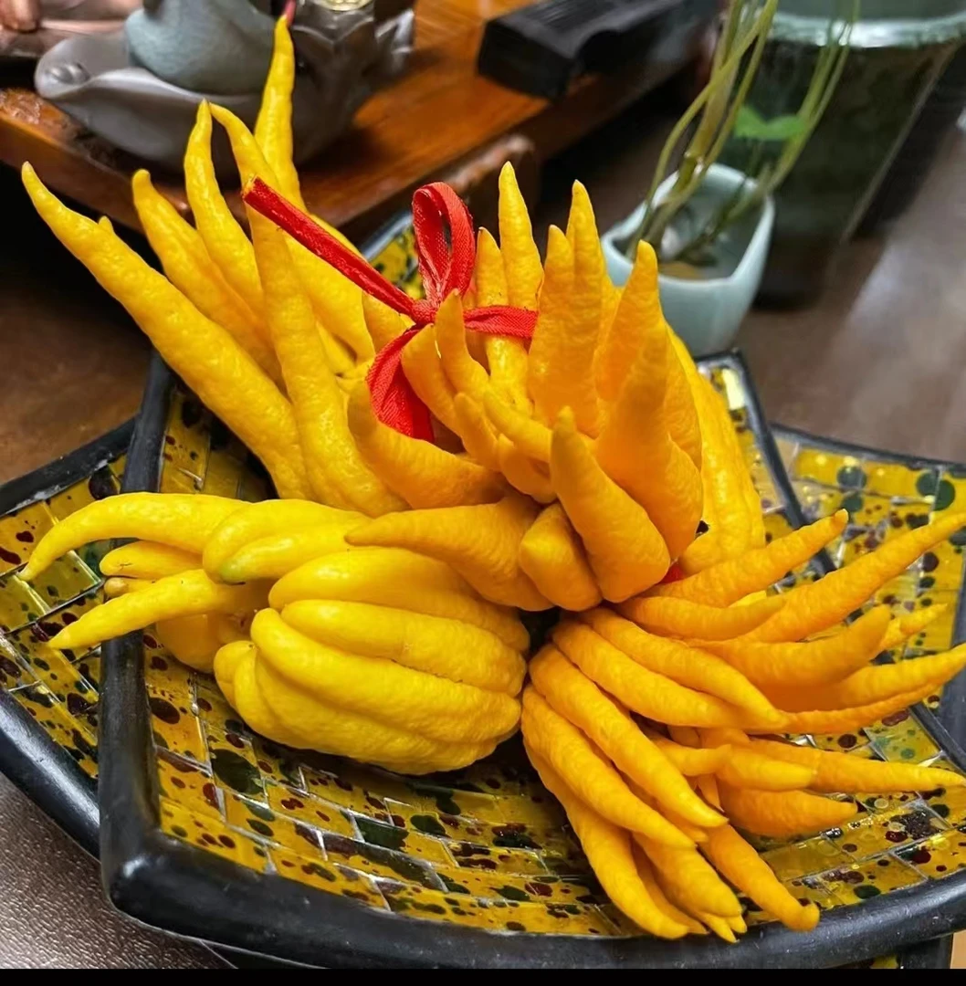 佛手观赏，可清贡，闻香，观赏，食用，摆放观赏，如诗如画，见者吉祥