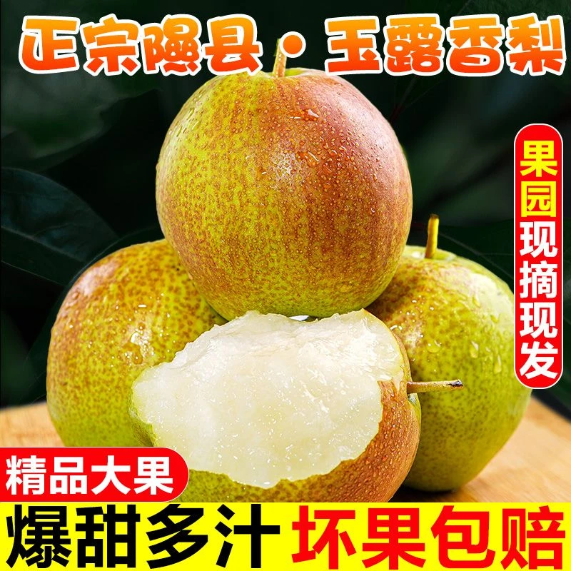 《小虹专属》山西玉露香梨现摘现发脆甜多汁香甜爽口酥脆爆汁