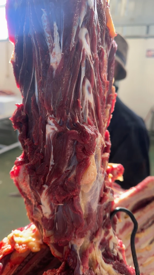 牦牛肉 牛脖骨牛蝎子