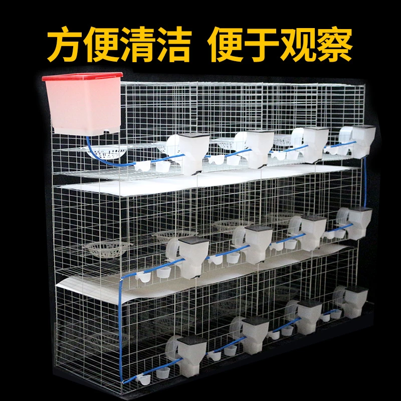鸽子用品鸽笼养殖繁殖配对大型家用鸽舍鸽棚鸽子笼鸽子笼养殖笼