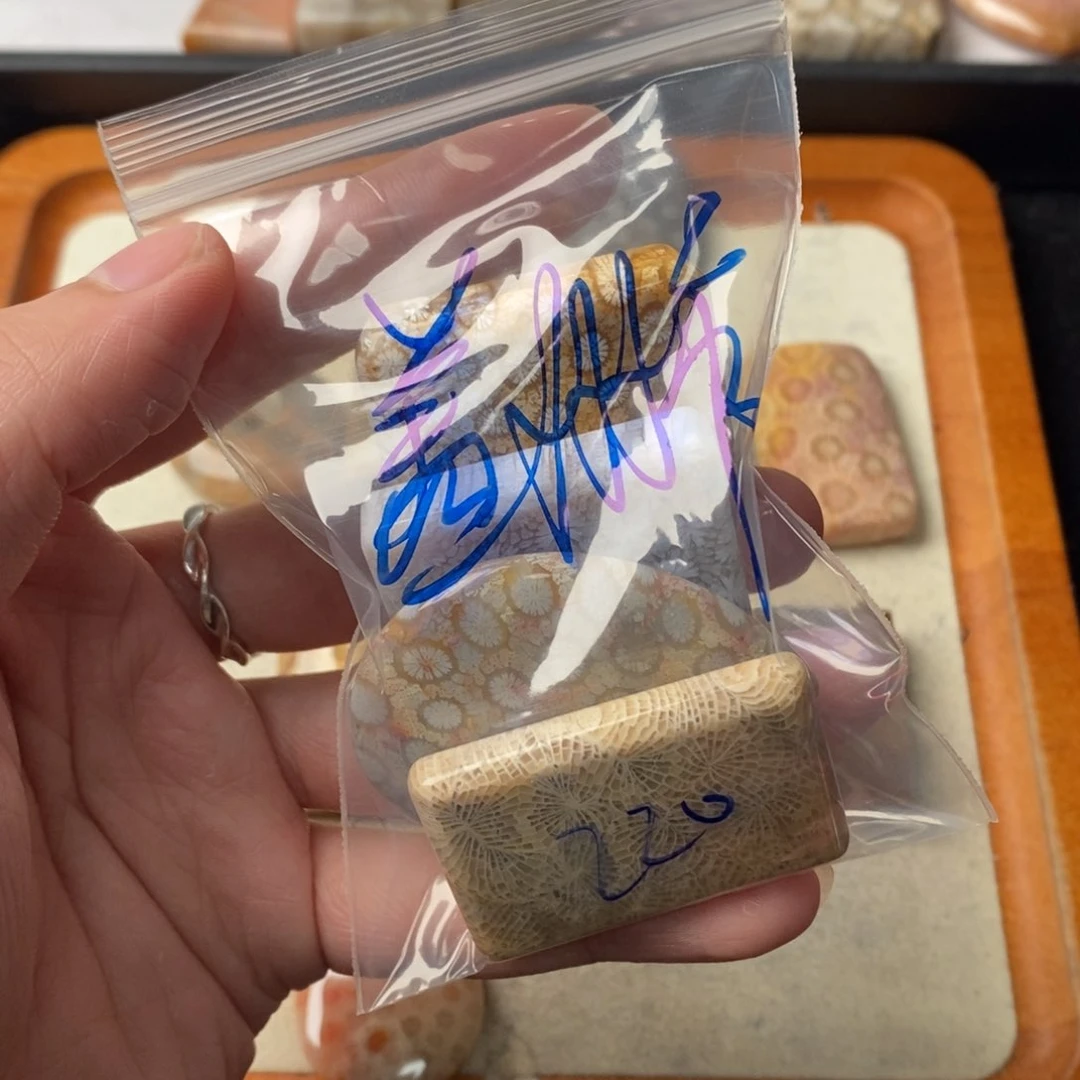 硅化玉颈饰未镶嵌盖****室