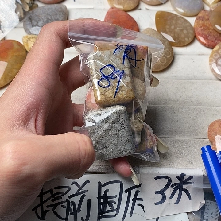 硅化玉颈饰未镶嵌娟