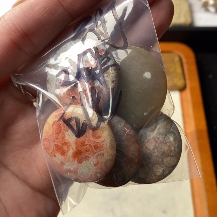 硅化玉颈饰未镶嵌.****n